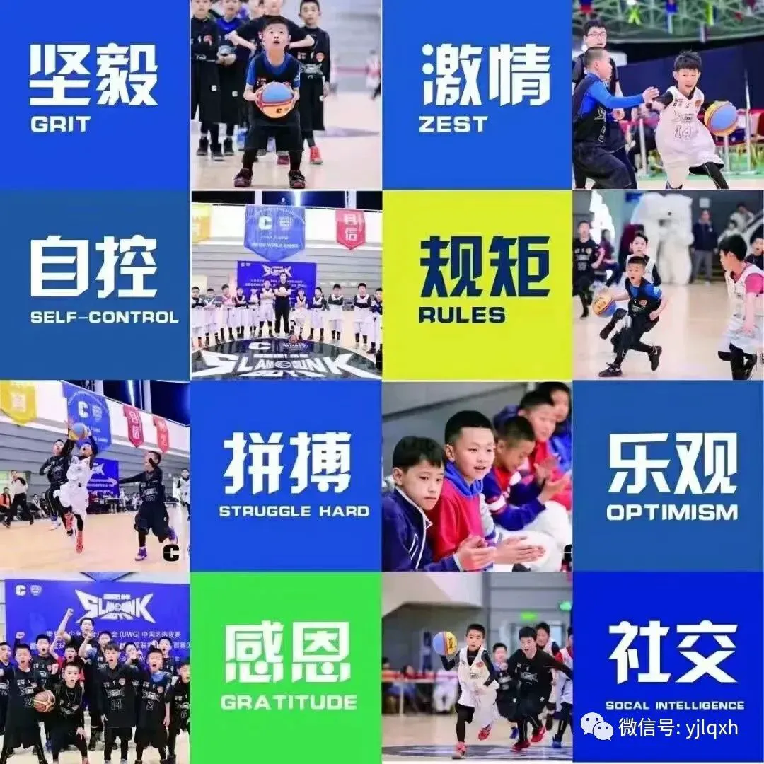 篮球运球训练心得体会范文怎么写_2